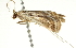  ( - BIOUG00954-C06)  @12 [ ] CreativeCommons - Attribution (2011) CBG Photography Group Centre for Biodiversity Genomics