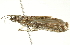  ( - BIOUG00954-D08)  @14 [ ] CreativeCommons - Attribution (2011) CBG Photography Group Centre for Biodiversity Genomics