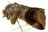  ( - BIOUG00912-G12)  @13 [ ] CreativeCommons - Attribution (2011) CBG Photography Group Centre for Biodiversity Genomics