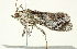  ( - BIOUG00913-D12)  @12 [ ] CreativeCommons - Attribution (2011) CBG Photography Group Centre for Biodiversity Genomics