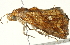  ( - BIOUG00913-E01)  @12 [ ] CreativeCommons - Attribution (2011) CBG Photography Group Centre for Biodiversity Genomics
