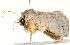  ( - BIOUG00913-E08)  @14 [ ] CreativeCommons - Attribution (2011) CBG Photography Group Centre for Biodiversity Genomics