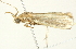  ( - BIOUG00944-C03)  @12 [ ] CreativeCommons - Attribution (2011) CBG Photography Group Centre for Biodiversity Genomics
