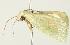  ( - BIOUG00944-C07)  @13 [ ] CreativeCommons - Attribution (2011) CBG Photography Group Centre for Biodiversity Genomics