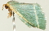  ( - BIOUG00944-D09)  @12 [ ] CreativeCommons - Attribution (2011) CBG Photography Group Centre for Biodiversity Genomics