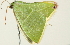  ( - BIOUG00944-D10)  @12 [ ] CreativeCommons - Attribution (2011) CBG Photography Group Centre for Biodiversity Genomics