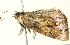  ( - BIOUG00944-E10)  @12 [ ] CreativeCommons - Attribution (2011) CBG Photography Group Centre for Biodiversity Genomics