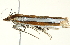  ( - BIOUG00944-F05)  @13 [ ] CreativeCommons - Attribution (2011) CBG Photography Group Centre for Biodiversity Genomics
