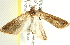 ( - BIOUG00944-F10)  @14 [ ] CreativeCommons - Attribution (2011) CBG Photography Group Centre for Biodiversity Genomics