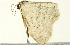  ( - BIOUG00944-F11)  @12 [ ] CreativeCommons - Attribution (2011) CBG Photography Group Centre for Biodiversity Genomics