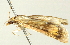  ( - BIOUG00944-G04)  @13 [ ] CreativeCommons - Attribution (2011) CBG Photography Group Centre for Biodiversity Genomics