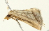  ( - BIOUG00944-G10)  @13 [ ] CreativeCommons - Attribution (2011) CBG Photography Group Centre for Biodiversity Genomics