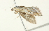  ( - BIOUG00945-B09)  @12 [ ] CreativeCommons - Attribution (2011) CBG Photography Group Centre for Biodiversity Genomics