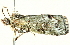  ( - BIOUG00945-C04)  @12 [ ] CreativeCommons - Attribution (2011) CBG Photography Group Centre for Biodiversity Genomics