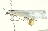  ( - BIOUG00945-E08)  @13 [ ] CreativeCommons - Attribution (2011) CBG Photography Group Centre for Biodiversity Genomics