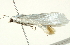  ( - BIOUG00945-F02)  @12 [ ] CreativeCommons - Attribution (2011) CBG Photography Group Centre for Biodiversity Genomics