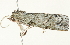  ( - BIOUG00945-G10)  @13 [ ] CreativeCommons - Attribution (2011) CBG Photography Group Centre for Biodiversity Genomics