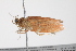  ( - BIOUG00955-G08)  @13 [ ] CreativeCommons - Attribution (2011) CBG Photography Group Centre for Biodiversity Genomics