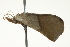  ( - BIOUG00956-A04)  @13 [ ] CreativeCommons - Attribution (2011) CBG Photography Group Centre for Biodiversity Genomics