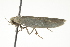  ( - BIOUG00956-A07)  @12 [ ] CreativeCommons - Attribution (2011) CBG Photography Group Centre for Biodiversity Genomics