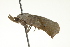  ( - BIOUG00956-B01)  @12 [ ] CreativeCommons - Attribution (2011) CBG Photography Group Centre for Biodiversity Genomics