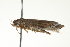  ( - BIOUG00956-C02)  @12 [ ] CreativeCommons - Attribution (2011) CBG Photography Group Centre for Biodiversity Genomics