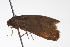  ( - BIOUG00956-E03)  @12 [ ] CreativeCommons - Attribution (2011) CBG Photography Group Centre for Biodiversity Genomics