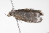  ( - BIOUG00956-F07)  @12 [ ] CreativeCommons - Attribution (2011) CBG Photography Group Centre for Biodiversity Genomics