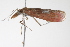  ( - BIOUG00956-H08)  @12 [ ] CreativeCommons - Attribution (2011) CBG Photography Group Centre for Biodiversity Genomics