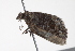  ( - BIOUG00946-C11)  @13 [ ] CreativeCommons - Attribution (2011) CBG Photography Group Centre for Biodiversity Genomics