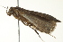  ( - BIOUG00946-H07)  @13 [ ] CreativeCommons - Attribution (2011) CBG Photography Group Centre for Biodiversity Genomics