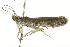  ( - BIOUG00957-D12)  @13 [ ] CreativeCommons - Attribution (2011) CBG Photography Group Centre for Biodiversity Genomics