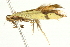  ( - BIOUG00957-E03)  @13 [ ] CreativeCommons - Attribution (2011) CBG Photography Group Centre for Biodiversity Genomics