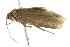  ( - BIOUG00957-F01)  @13 [ ] CreativeCommons - Attribution (2011) CBG Photography Group Centre for Biodiversity Genomics