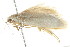  ( - BIOUG00958-D07)  @12 [ ] CreativeCommons - Attribution (2011) CBG Photography Group Centre for Biodiversity Genomics