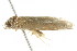  ( - BIOUG00958-E12)  @12 [ ] CreativeCommons - Attribution (2011) CBG Photography Group Centre for Biodiversity Genomics