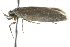  ( - BIOUG00959-E01)  @12 [ ] CreativeCommons - Attribution (2011) CBG Photography Group Centre for Biodiversity Genomics