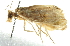  ( - BIOUG00960-A02)  @13 [ ] CreativeCommons - Attribution (2011) CBG Photography Group Centre for Biodiversity Genomics