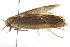  ( - BIOUG00960-A04)  @12 [ ] CreativeCommons - Attribution (2011) CBG Photography Group Centre for Biodiversity Genomics