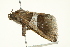  ( - BIOUG00961-E11)  @13 [ ] CreativeCommons - Attribution (2011) CBG Photography Group Centre for Biodiversity Genomics