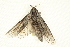  ( - BIOUG00961-F09)  @12 [ ] CreativeCommons - Attribution (2011) CBG Photography Group Centre for Biodiversity Genomics