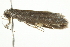  ( - BIOUG00960-G12)  @12 [ ] CreativeCommons - Attribution (2011) CBG Photography Group Centre for Biodiversity Genomics