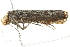  ( - BIOUG00964-D04)  @12 [ ] CreativeCommons - Attribution (2011) CBG Photography Group Centre for Biodiversity Genomics