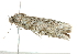  ( - BIOUG00979-A04)  @13 [ ] CreativeCommons - Attribution (2011) CBG Photography Group Centre for Biodiversity Genomics