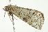  ( - BIOUG00982-B08)  @13 [ ] CreativeCommons - Attribution (2011) CBG Photography Group Centre for Biodiversity Genomics