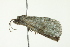  ( - BIOUG00982-C07)  @13 [ ] CreativeCommons - Attribution (2011) CBG Photography Group Centre for Biodiversity Genomics