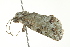  ( - BIOUG00982-F09)  @13 [ ] CreativeCommons - Attribution (2011) CBG Photography Group Centre for Biodiversity Genomics