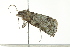  ( - BIOUG00982-H05)  @13 [ ] CreativeCommons - Attribution (2011) CBG Photography Group Centre for Biodiversity Genomics