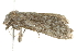  ( - BIOUG00983-H03)  @13 [ ] CreativeCommons - Attribution (2011) CBG Photography Group Centre for Biodiversity Genomics