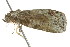  ( - BIOUG00984-B11)  @12 [ ] CreativeCommons - Attribution (2011) CBG Photography Group Centre for Biodiversity Genomics